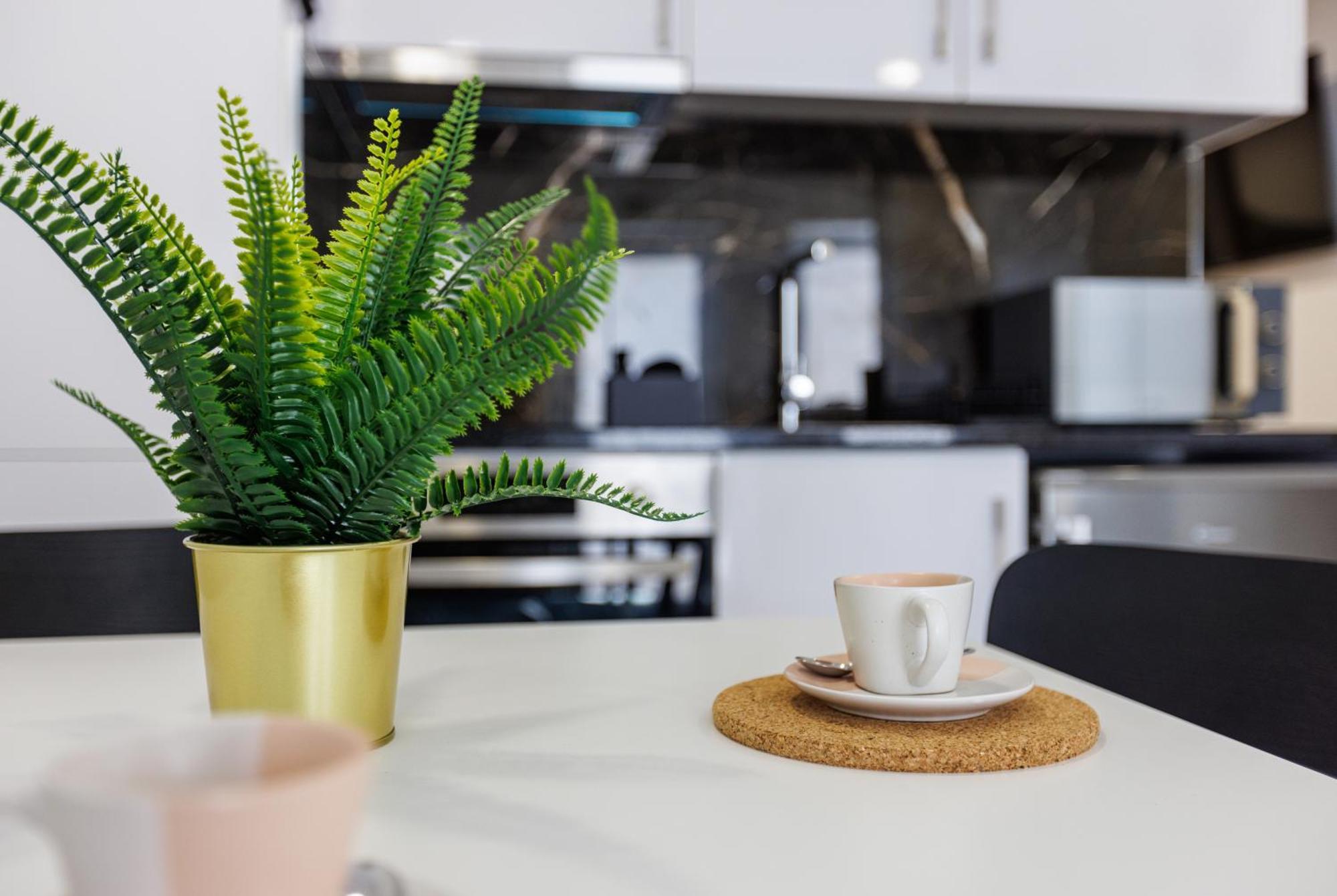 Apartmán Live In Aveiro Rossio Exteriér fotografie